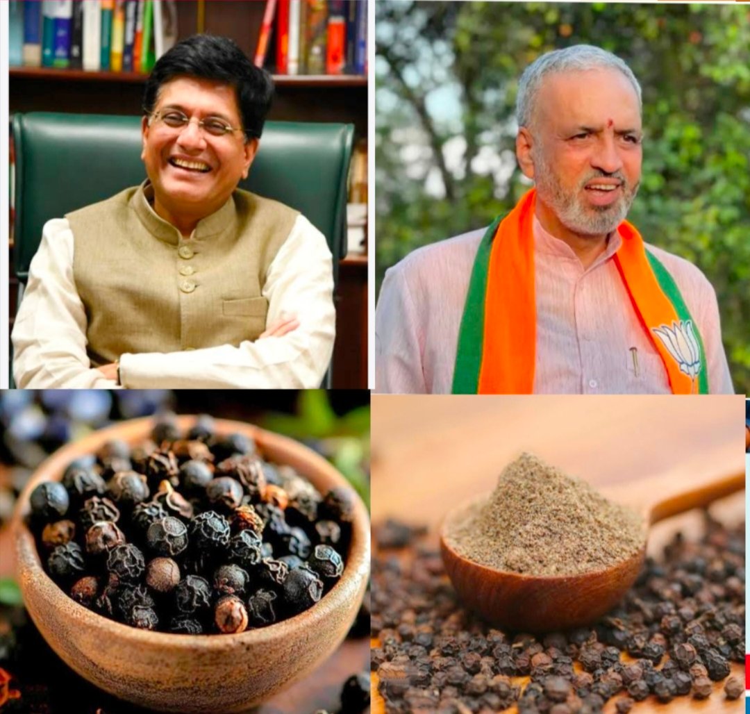 शिरसी बाजार पेठेतील काळी मिरीचे दर स्पाइस बोर्डाच्या यादीत नोंदवले गेले ...